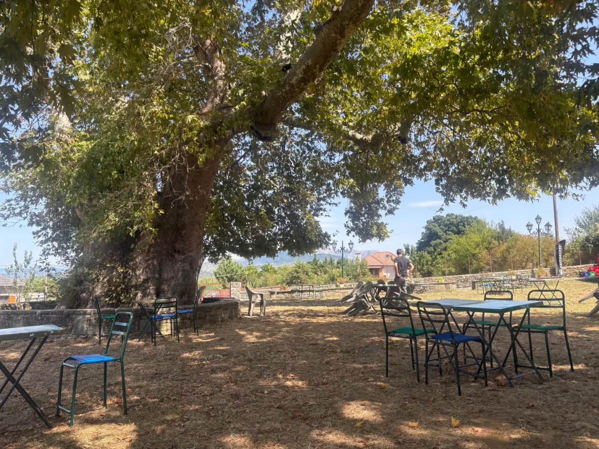 Photos: Lazaina, Tzoumerka, Ioannina, Greece (2025)