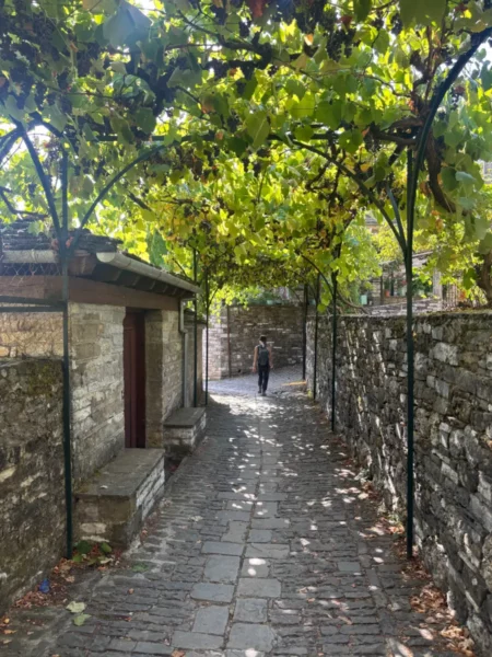 Shaded cobbled alley in mikro Papigo village, Zagorochoria, with stone walls, vine-covered pergola overhead, scattered fallen leaves, and a lone person walking through the lane.