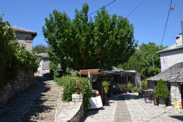 Charming cobblestone path leads to a café shaded by a large tree in Monodendri, Zagorochoria, Ioannina, Greece.