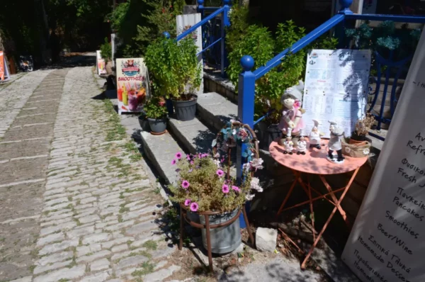 Colorful flower pots and decorative items line a cobblestone path in Monodendri, Zagorochoria, showcasing charming local craftsmanship.