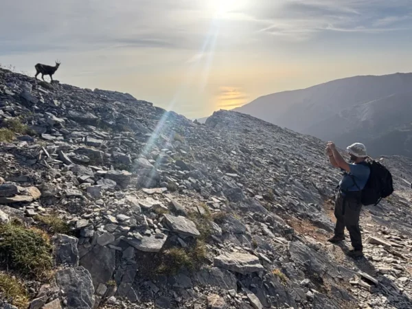 A hiker observes a wild goat on rocky terrain, with sunlit slopes of Mount Olympus in Pieria, Greece, creating a scenic backdrop.