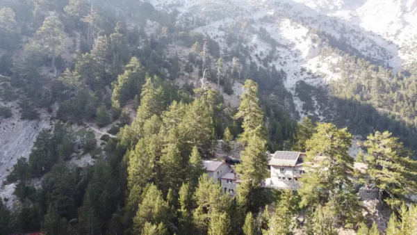 Lush green forests blanket the mountainous terrain of Mount Olympus, with traditional wooden structures nestled among the trees in Pieria, Greece.