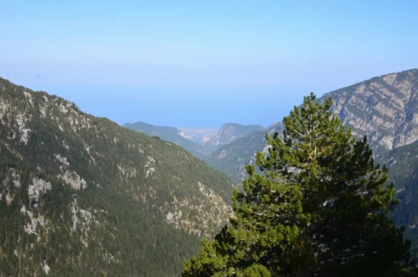 Lush green trees and rugged mountain slopes frame a distant view of the sea near Mount Olympus, Pieria, Greece.