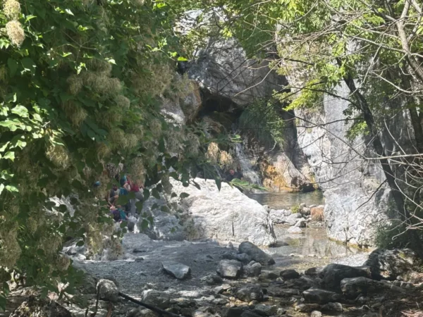 Enipeas Gorge on Mount Olympus, with a shallow stream flowing between smooth rock walls, shaded by dense trees near the trail from Prionia.