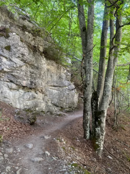 Winding path through lush greenery and rocky terrain near Mount Olympus, Pieria, Greece, inviting outdoor exploration.