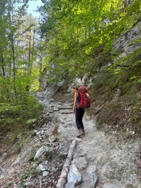 Hiker on a winding trail surrounded by lush greenery leading towards Mount Olympus, Pieria, Greece.