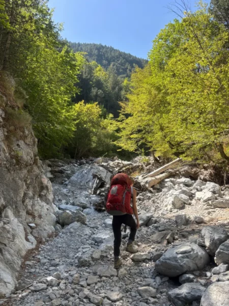 Hiker navigating a rocky path through lush greenery near Mount Olympus in Pieria, Greece, under a clear blue sky.