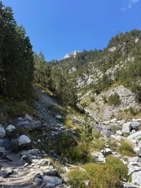 Rocky trail leading through lush greenery towards the summit of Mount Olympus in Pieria, Greece, under a clear blue sky.