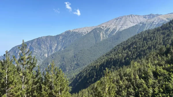 Stunning view of Mount Olympus with lush greenery in the foreground, capturing the natural beauty of Pieria, Greece.