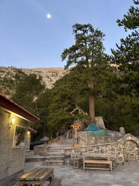 Sturdy trees tower over a stone terrace at Mount Olympus in Pieria, Greece, under a clear evening sky with a crescent moon.