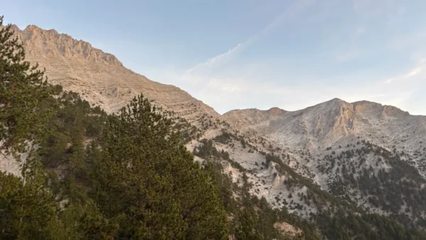 Majestic Mount Olympus looms over lush green forests in Pieria, Greece, under a clear blue sky.