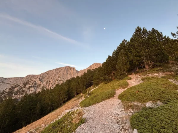 Rocky alpine trail on Mount Olympus climbing toward the higher peaks, with fir trees, limestone terrain, and early-morning light.
