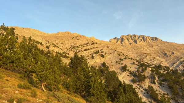 Golden morning light bathes the rugged slopes of Mount Olympus in Pieria, Greece, highlighting lush greenery in the foreground.