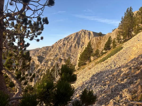 Stunning rocky cliffs and pine trees frame the dramatic landscape of Mount Olympus in Pieria, Greece, under a clear blue sky.