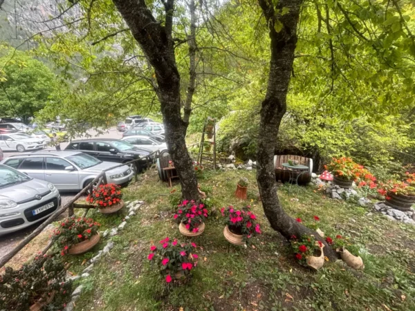 Beautifully landscaped garden with colorful flower pots under lush trees, nestled near cars, showcasing nature in Mount Olympus, Pieria, Greece.