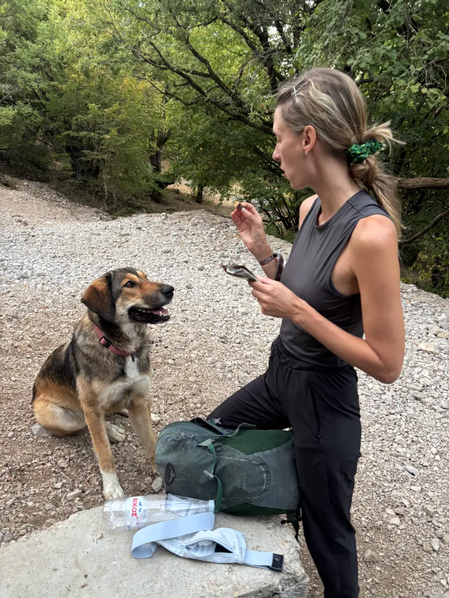 Woman hiker pausing on a forest trail in Zagori while a friendly village dog sits beside her, Mount Tymfi hiking route, northern Greece.
