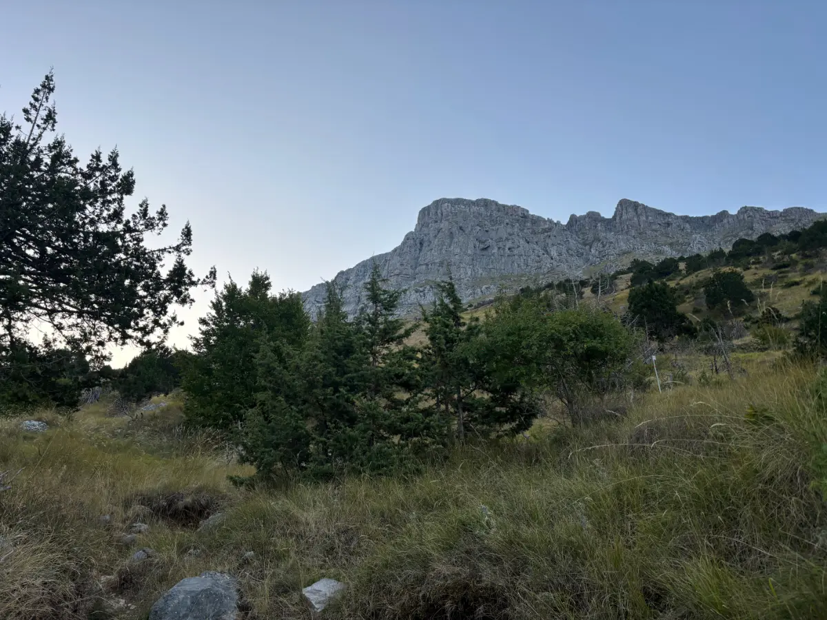 Rocky limestone cliffs of Mount Tymfi rising above grassy alpine slopes and scattered pines along the hiking trail in Zagori, northern Greece.