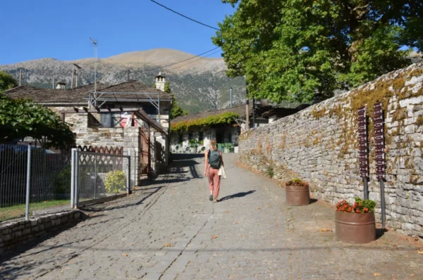 Charming stone pathway lined with traditional houses and vibrant green trees in Papigo, Zagorochoria, Ioannina, Greece.