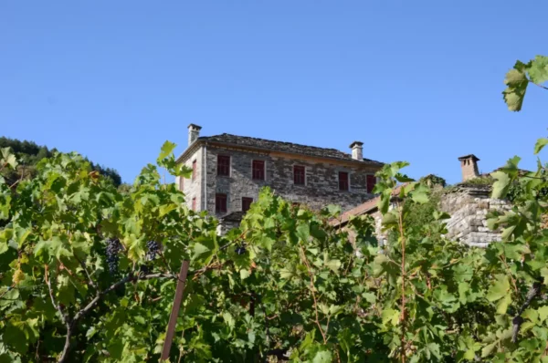 Vineyards in Papigo with a traditional stone house featuring red windows against a clear blue sky, set in Zagorochoria, Greece.