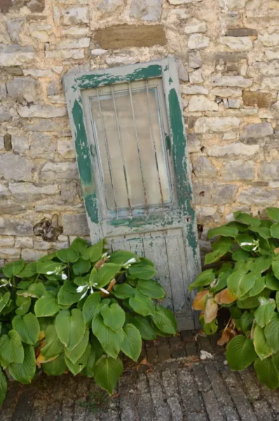Weathered green door leaning against a stone wall, surrounded by lush green foliage in Papigo, Zagorochoria, Greece.
