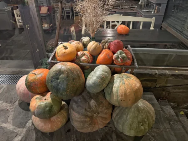 Colorful pumpkins stacked in a rustic basket, showcasing various shapes and sizes, in Papigo, Zagorochoria, Greece.