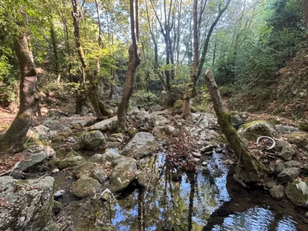Serene Stropones Gorge in Euboea, Greece, features rocky terrain, clear waters, and lush greenery amid towering trees.