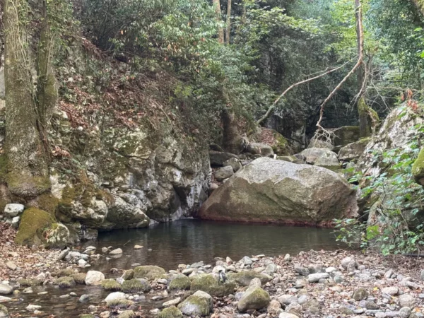 Serene waters flow gently through Stropones Gorge, surrounded by lush greenery and rocky formations in Euboea, Greece.