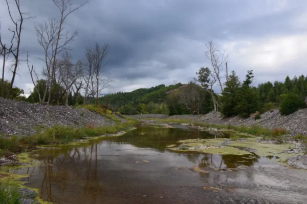Serene view of calm waters reflecting overhanging trees and dark clouds in the Forest of Kireas River, Euboea, Greece.