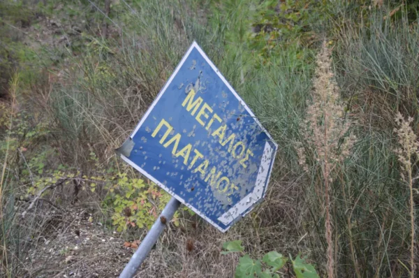 Blue sign with Greek text pointing towards Megalos Platamonas, surrounded by lush greenery in the Forest of Kireas, Euboea, Greece.