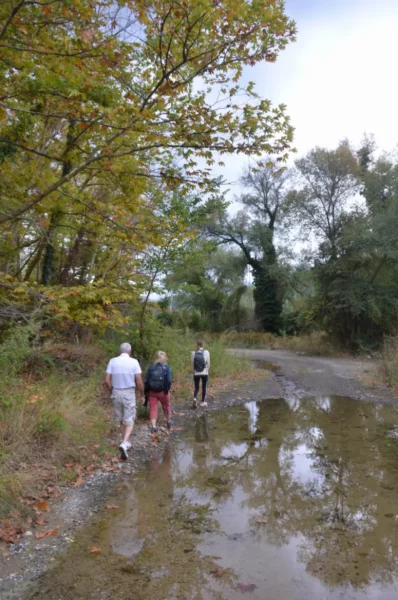 Three hikers walk along a muddy path through the plane tree forest near the Kireas River in Euboea, Greece, surrounded by greenery.
