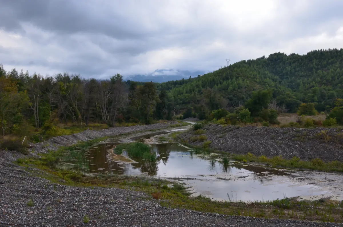 view of kireas river and its plane forest on a cloudy autumn day