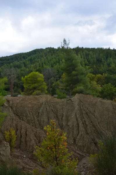 Lush greenery surrounds the distinctive rocky formations along the Kireas River in Euboea, Greece.