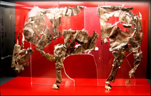 The Silver Bull in delphi museum