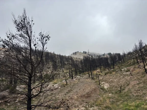 Davelis Cave near Mount Pentelicus features a landscape with burnt vegetation and rocky terrain under a cloudy sky in Attica, Greece.