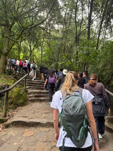 Hikers making their way up the Monserrate trail through the forest in Bogotá