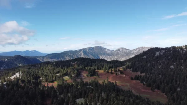 Aerial view showcasing lush green forests and rolling mountains in Tanaida, Euboea, Greece, under a clear blue sky.