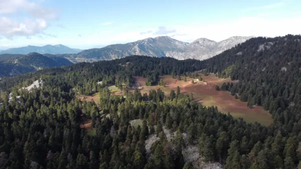 Aerial view of Tanaida Plateau with Pyxarias in the background in Central Evia