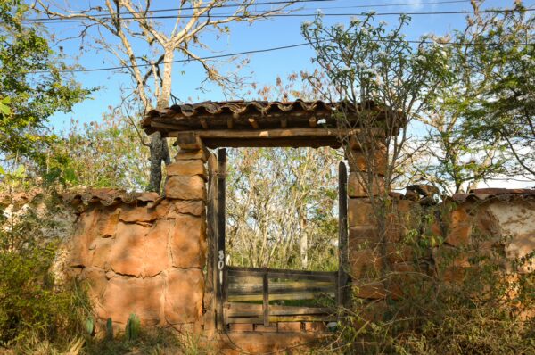 A rustic gate framed by overgrown greenery and dry trees in Barichara, Santander, highlighting the area's natural beauty.