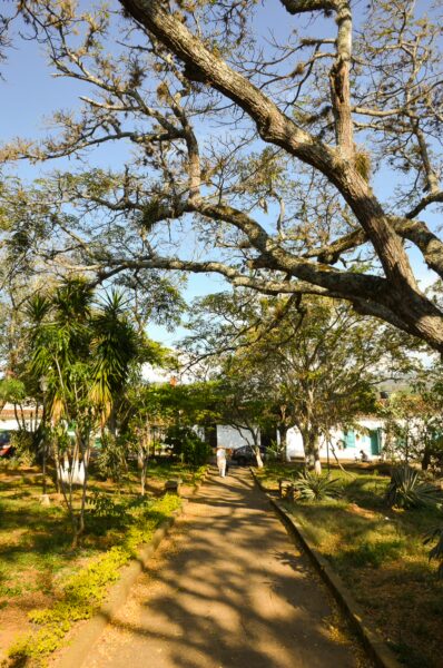 A winding dirt path lined with lush greenery and shaded by large trees in Barichara, Santander, Colombia, set against a clear blue sky.