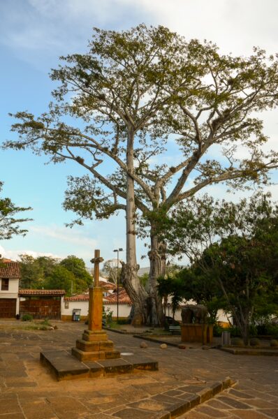 A large tree casts shade over a stone plaza in Barichara, with a cross monument and lush greenery in the foreground.