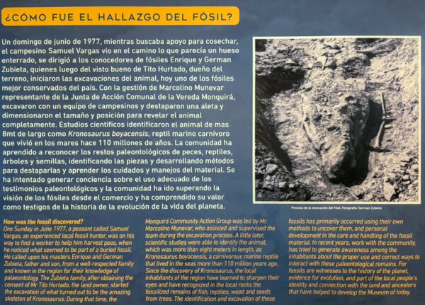 Display panel describing the discovery of the Kronosaurus fossil at the Fossil Community Museum in Villa de Leyva