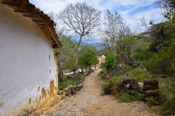 Charming stone path lined with lush greenery and whitewashed buildings leading through Guane, Santander, Colombia.