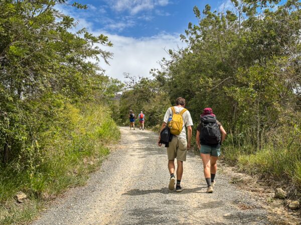 Travelers walk along a gravel path surrounded by lush greenery in Guane, Santander, with a bright blue sky overhead.