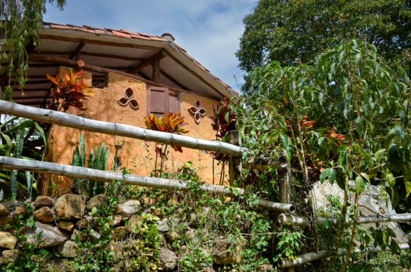 Charming earth-toned house in Guane, surrounded by lush greenery and vibrant tropical plants, under a blue sky.