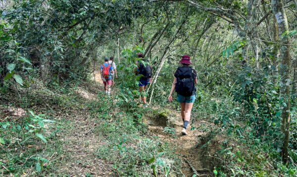 Hikers navigating a lush, green trail in Guane, Santander, Colombia, surrounded by dense foliage and tropical plants.