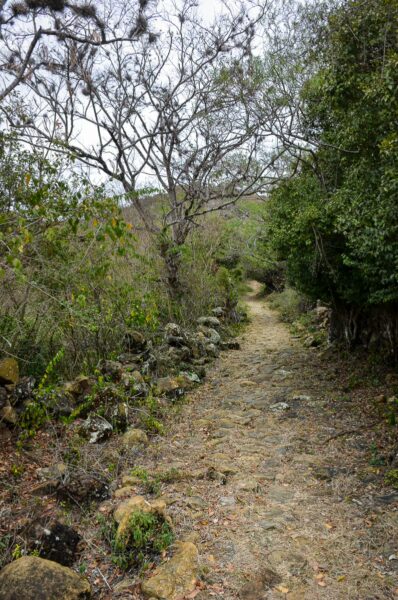 A narrow dirt path surrounded by lush greenery and scattered stones leads through the landscape near Guane, Santander, Colombia.
