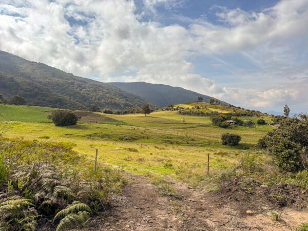 Open grasslands of the Vida Honduras plateau in Iguaque National Park, Boyacá, Colombia