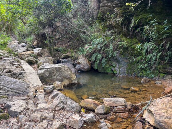 Clear pool beside the Camino de Herradura trail in Iguaque National Park, Boyacá, Colombia