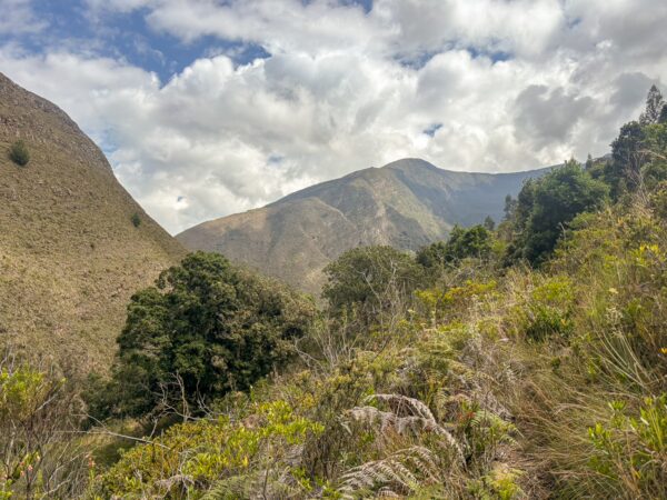 Mountain ridge and native vegetation in a remote part of Iguaque National Park, Boyacá, Colombia