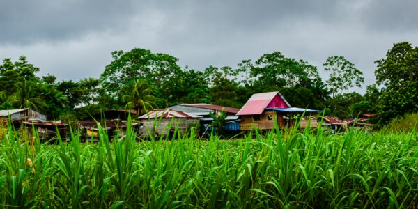 Colorful houses nestled among lush green grass and trees in Gamboa Nature Reserve, Loreto, Peru, under a cloudy sky.
